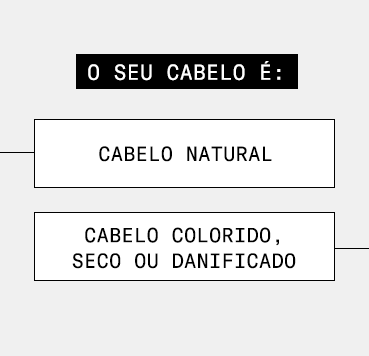 Nova Coleção