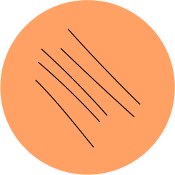 fino